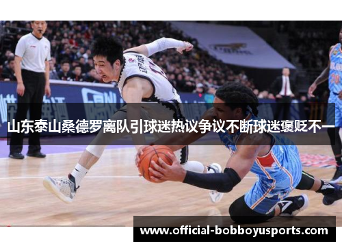 山东泰山桑德罗离队引球迷热议争议不断球迷褒贬不一
